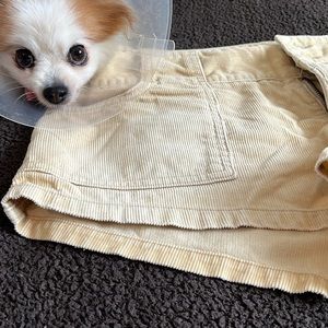 Y2K Corduroy Abercrombie and Fitch shorts